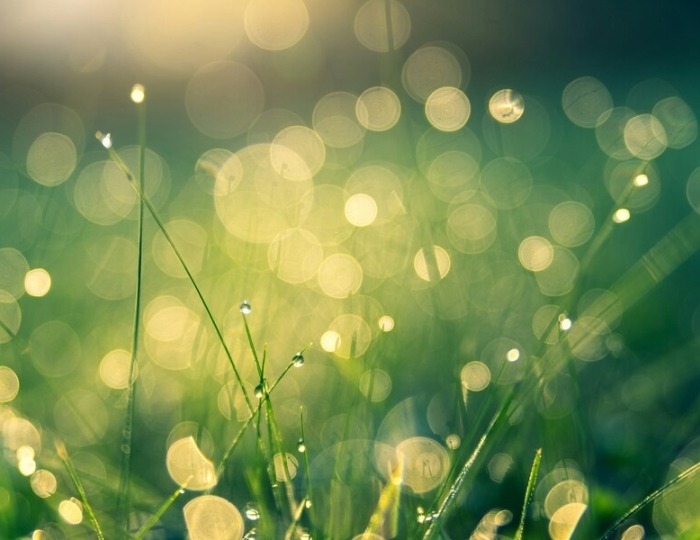 Базовая - Санаторий «им. Орджоникидзе» Кисловодск